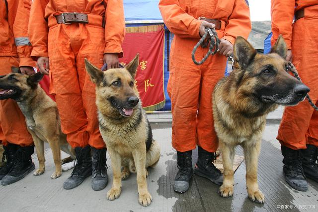 包含浙江队惊险击败黑龙江队,实现惊险胜利的词条 包含浙江队惊险击败黑龙江队,实现惊险胜利的词条