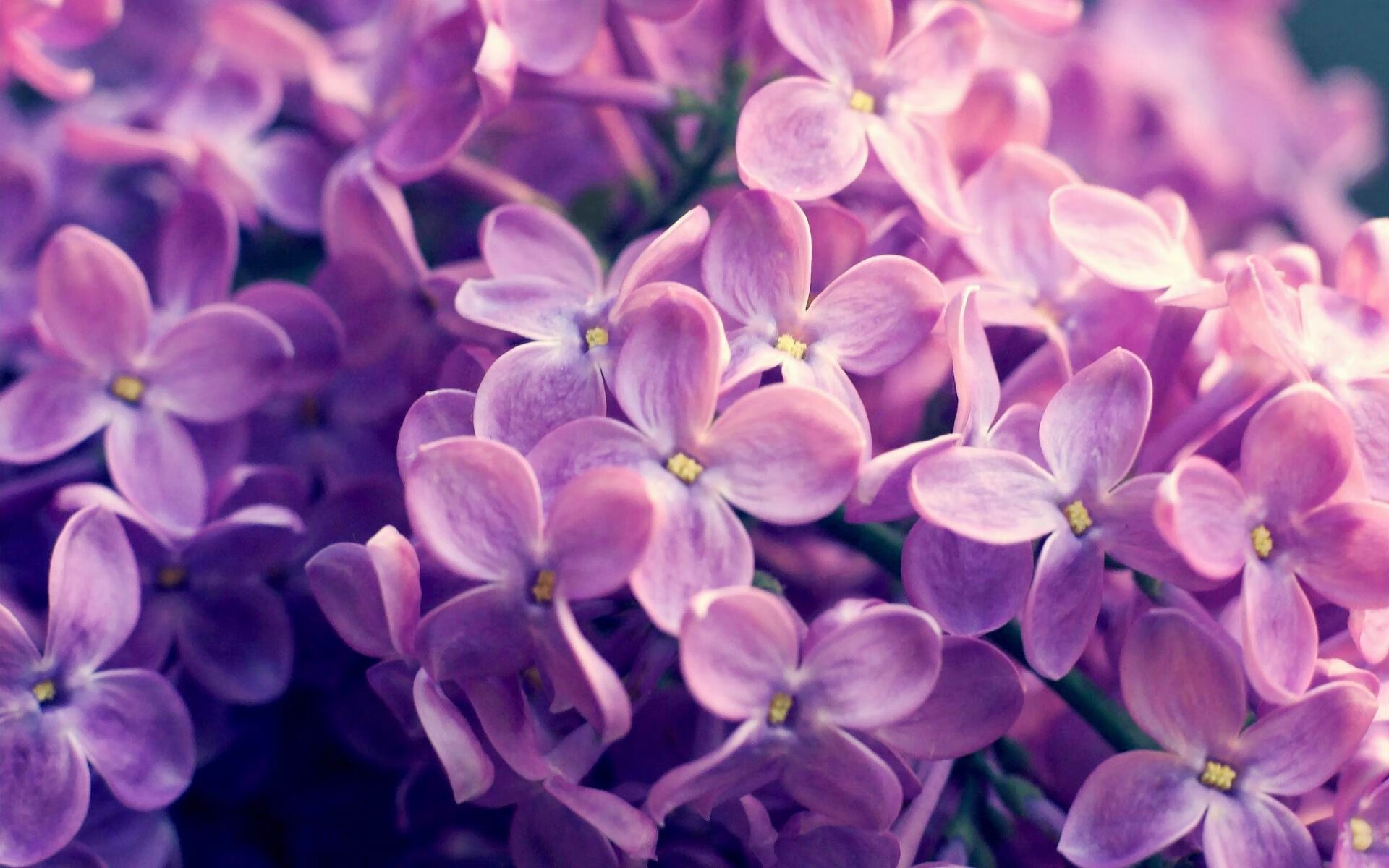 开云体育app-东西方两种绝杀，上海压哨的集体诗篇与浓眉接管的美式孤勇