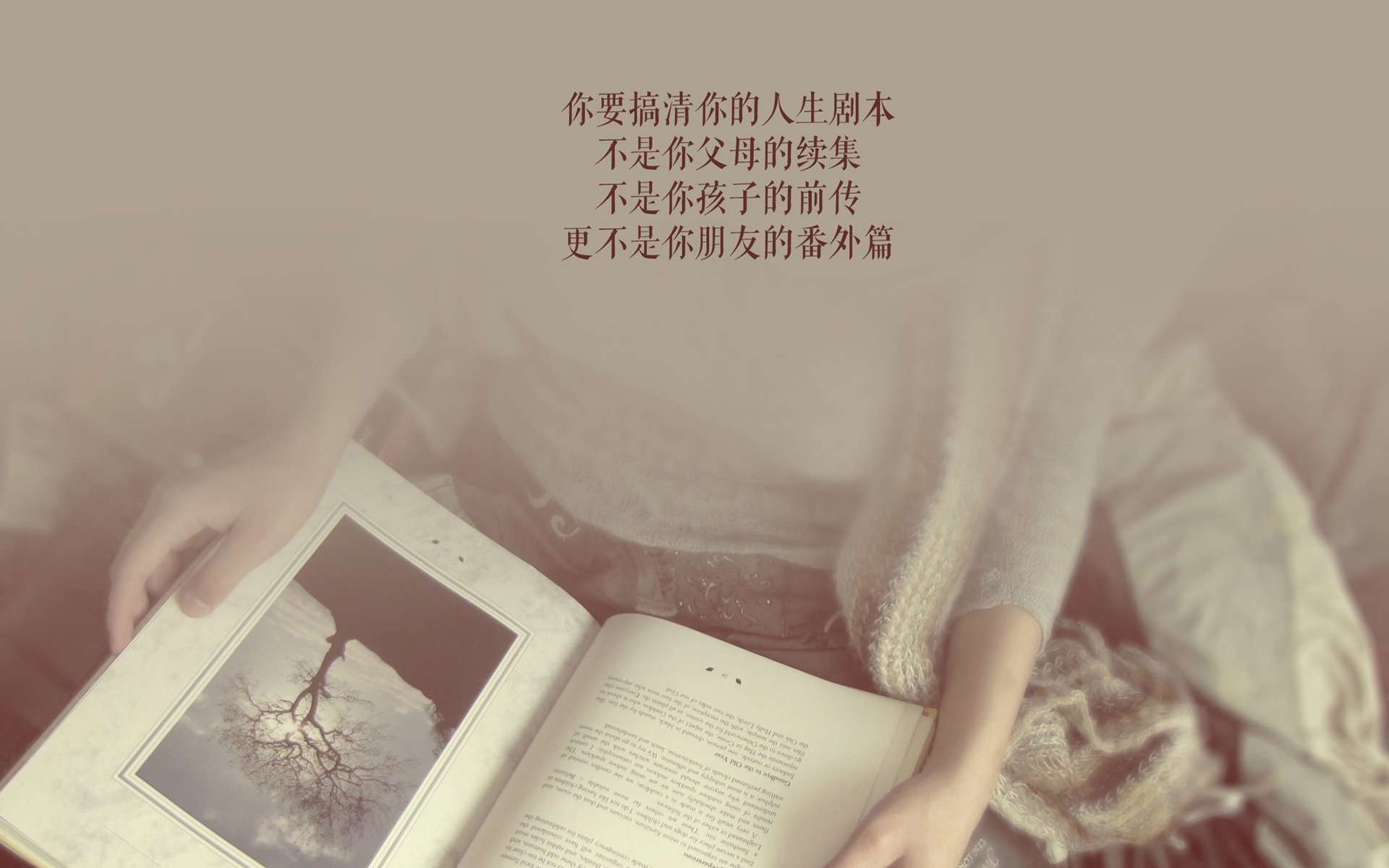 开云体育-蓝军陨落之夜，瑞典以铁血反击撕碎高卢神话，塔雷米成新王